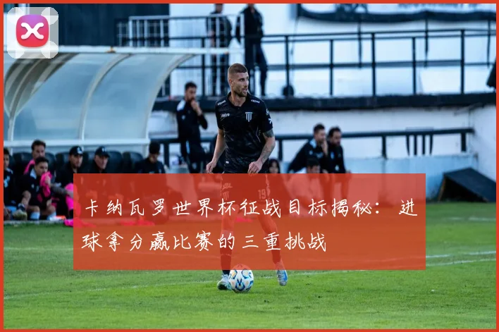 卡纳瓦罗世界杯征战目标揭秘：进球拿分赢比赛的三重挑战