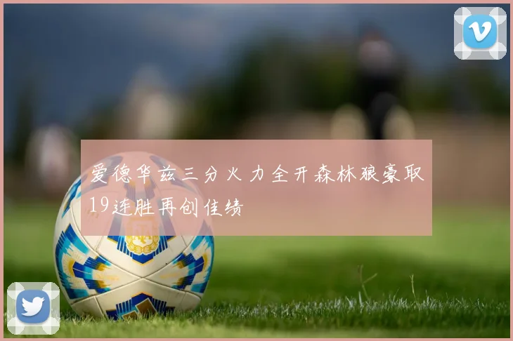 爱德华兹三分火力全开森林狼豪取19连胜再创佳绩